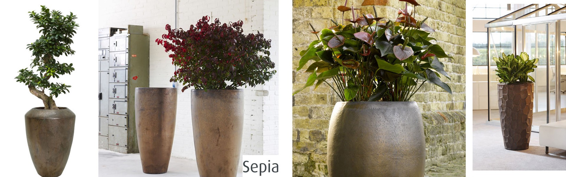 Pots et vases décoratifs - Intérieur & extérieur - Collection Sépia